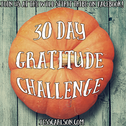 30 Day Gratitude Challenge 