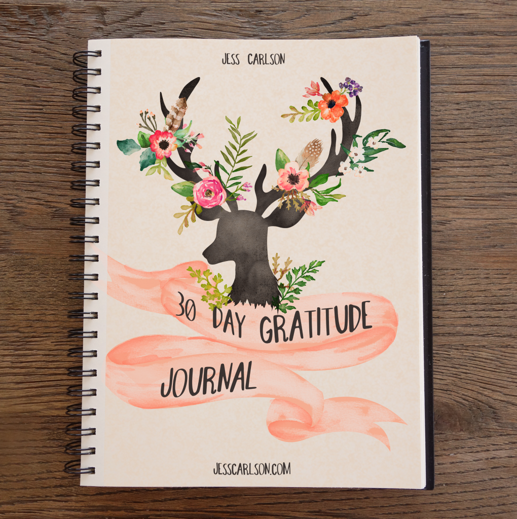 gratitude, journal, thanksgiving